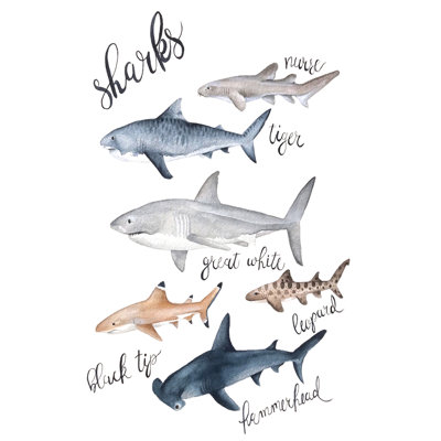 "Sharks" par Leah Tedesco sur