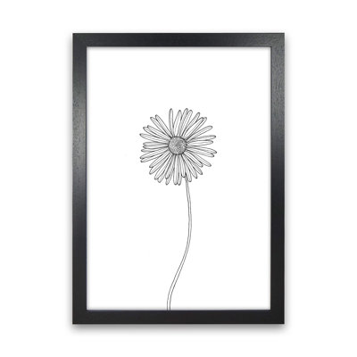 Daisy by Carissa Tanton - Print