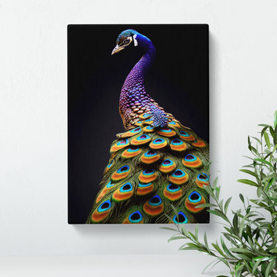 A Stunning Peacock