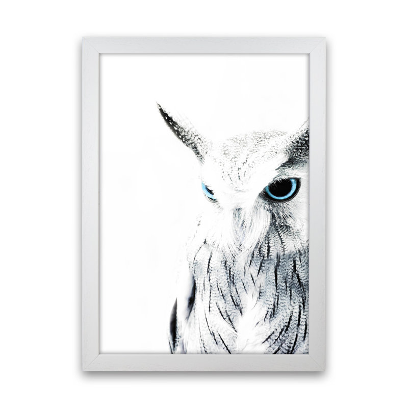Owl I by Victoria Frost - Print, White Framed, 46cm H x 34cm W x 3cm D