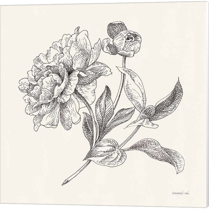 Croquis de fleurs par Danhui Nai, art sur toile (ensemble de 2)