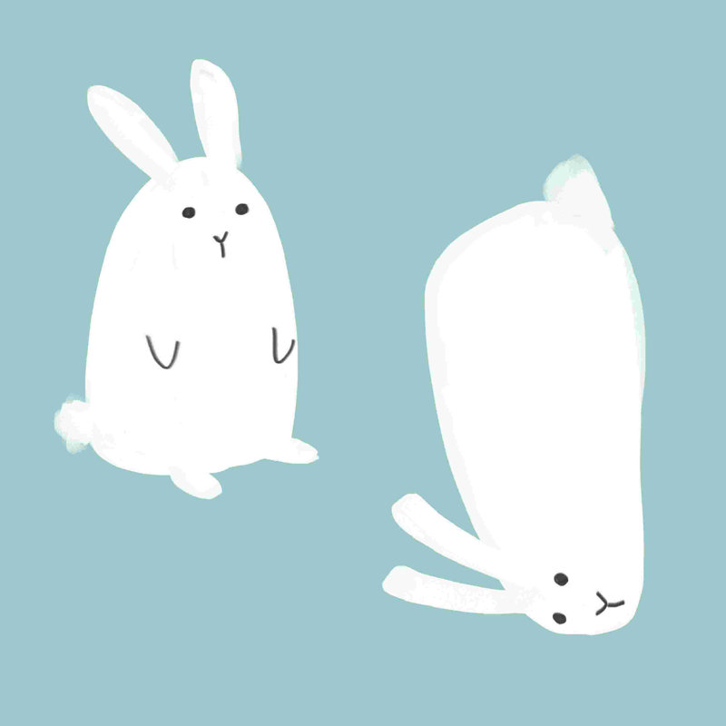 «Simple Staring Bunnies», peinture sur toile tendue, H 12 po x l 12 po