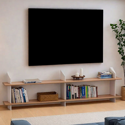 Minimalist and niche design TV cabinet