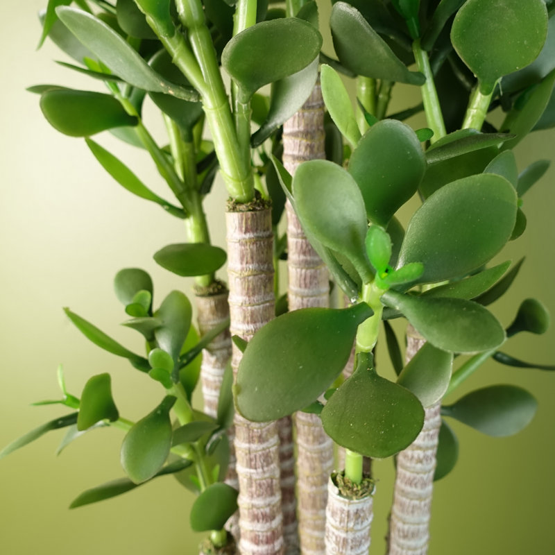75cm Faux Evergreen Plant in Pot Liner