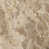 Fossil Marble Top/Gray Base