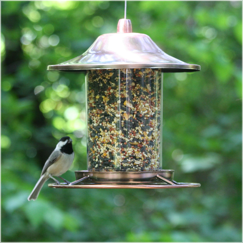 Mangeoire à oiseaux Alsibiaoes, Cuivre