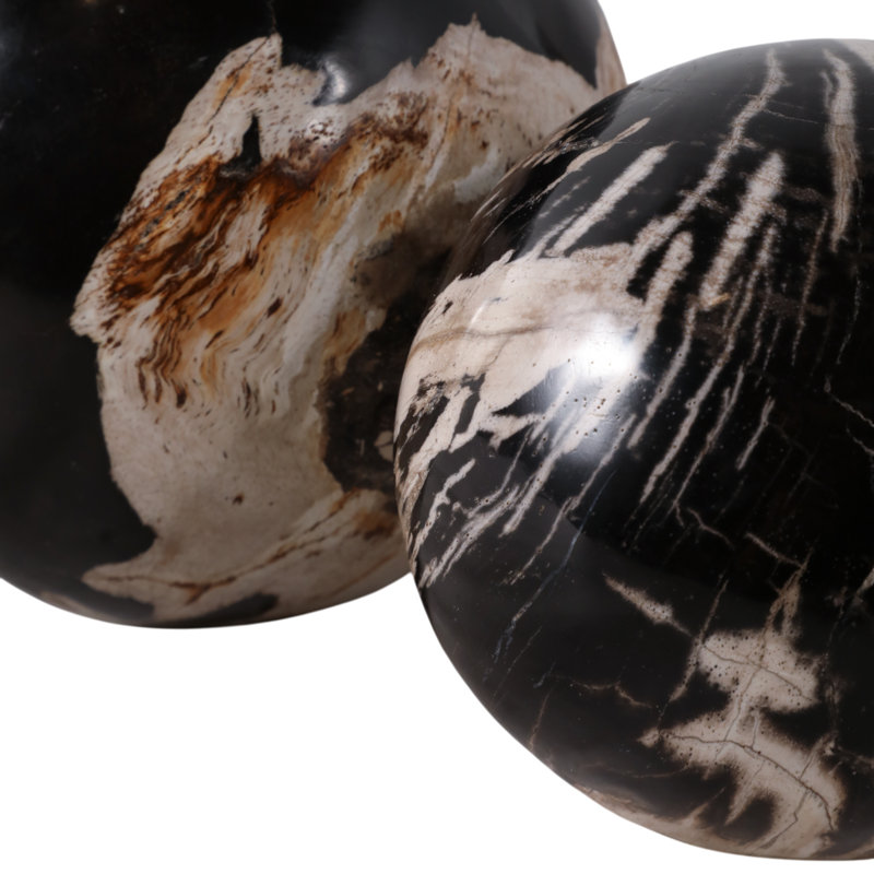 Artistic Petrified Wooden Orbs for Home Décor Accent – Modern Decorative Object for Living Room, Kitchen, Coffee Table Decorations – Set of 2, 6", Black