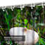 Rideau de douche vert et blanc avec 12 crochets-378838337
