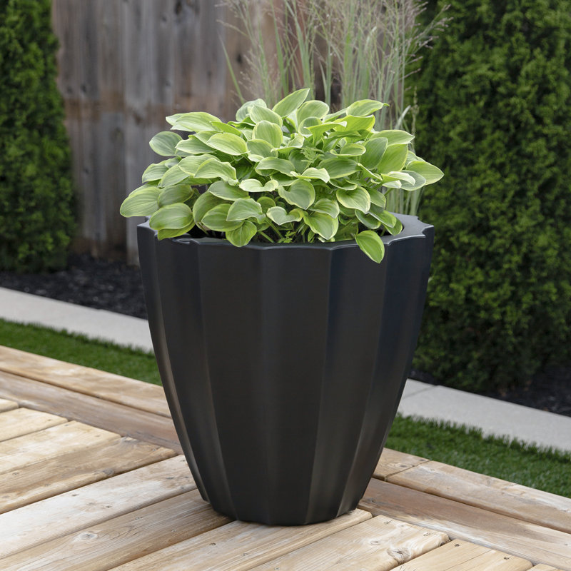 Aramenta Self-Watering Weather-Resistant Resin Pot Planter, Black, 18" H x 18" W x 18" D