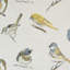 Sparrow Fabric