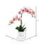 Phalaenopsis artificiel en pot 22 po Karelis-462425078