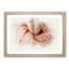 Petals of a Pink Carnation - Picture Frame Graphic Art Print-55732105-55732100