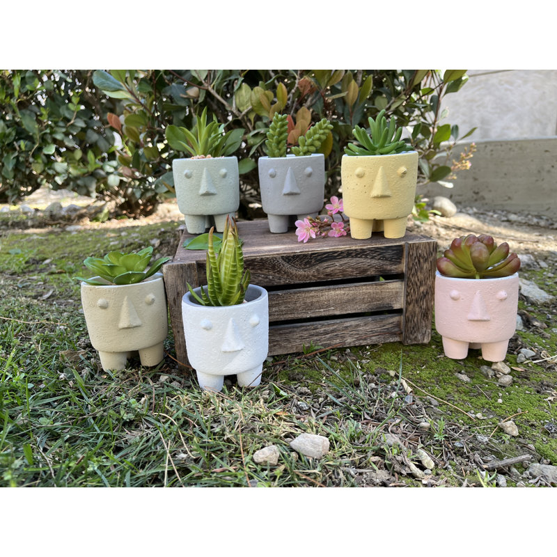 Pot Planter, Multicolor, 6