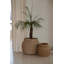 Ebern Designs Decorative Basket-102496112