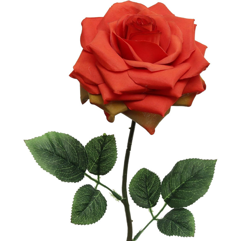 20" Open Rose Stem - 4 Pack