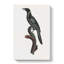 Manucode Bird Of Paradise by Jacques Barraband - Wrapped Canvas-55362603