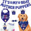 Ensemble de chapeaux Dog Birthday Bandana