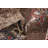 Yates Oriental Indoor Rug-1774676200