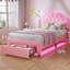 Princess Bed with Storage Drawer & LED Lights, Adjustable Headboard Upholstered Platform Bed with Velvet Crystal Button Princess Bed-2028409880-2028409883