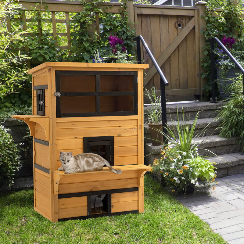 Abri pour chat 3 étages Pawhut