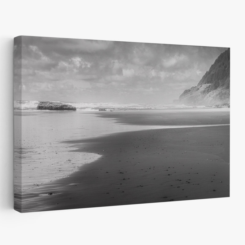 Encre bluff - coquillages côtiers et corail, photographie d'art marin noir et blanc, H 40 po x l 60 po