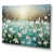 Toile tendue