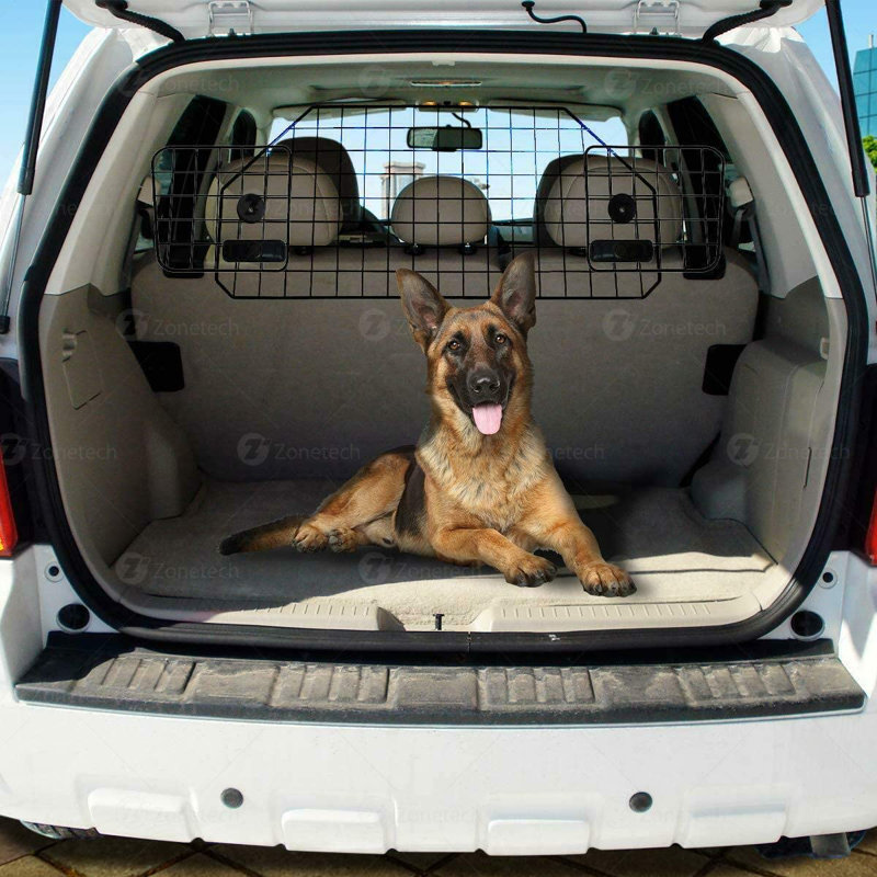Enclos pour chien