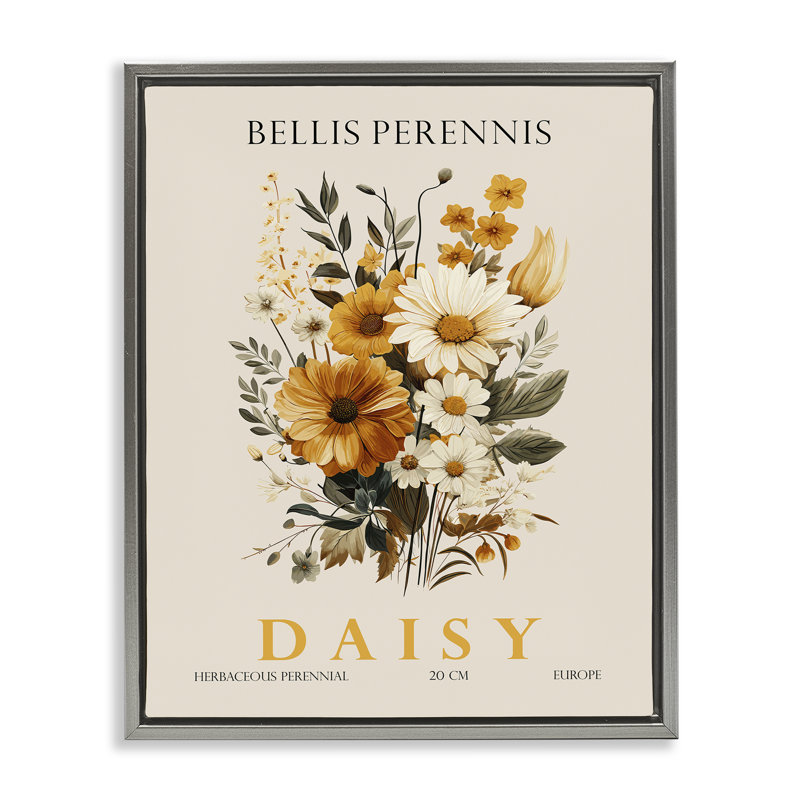 Cadre flottant Nature Daisy, par Christopher Giampietro, H 31 po x l 25 po, Cadre flottant gris lustré