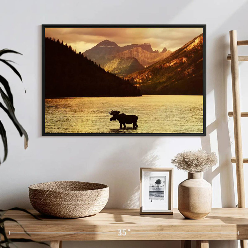 Brampt Lake Moose, 17" H x 25" W