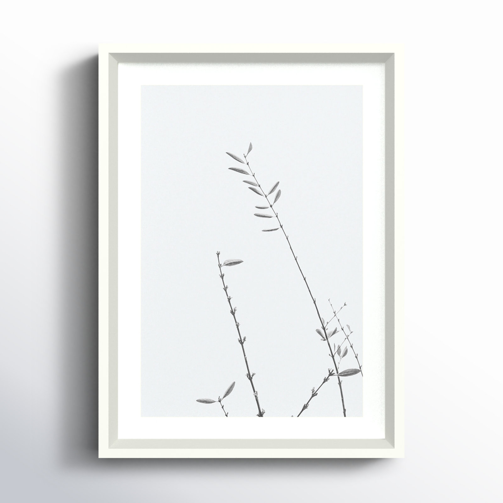 Retro Tennessee Botanical No 3 Photo Print, White, 17" H x 12" W x 2" D