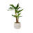 Artificial Banana Leaf Tree In A Shell Designed Fiberstone Planter