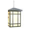 Seneca 8 - Light Pendant