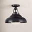 Palmetto 1 - Light Semi Flush Mount-464004312