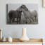 Affection - reproduction de photo sur toile tendue-1544911468