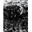 Brandt Floral Area Rug-1366196352-1420904729-1435124803