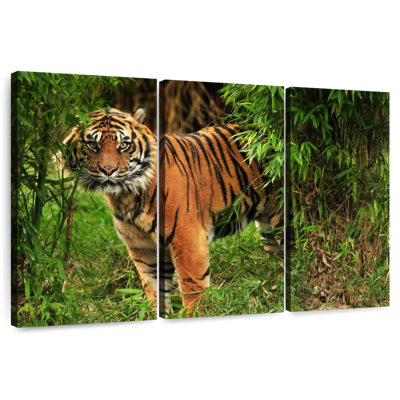 Brampt Jungle Bengal Tiger