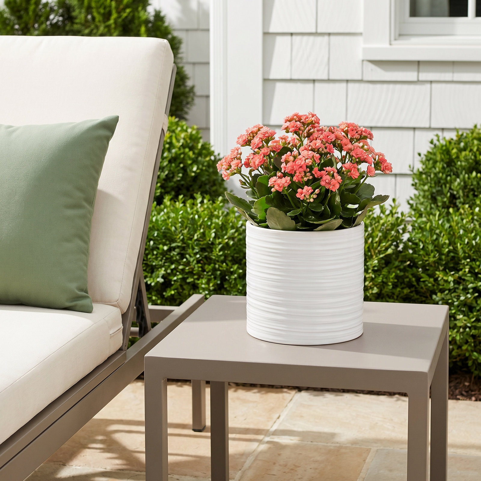 Canella 7" Ceramic Pot Planter