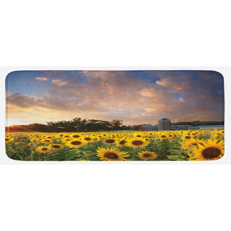 Tapis de cuisine Minnesota