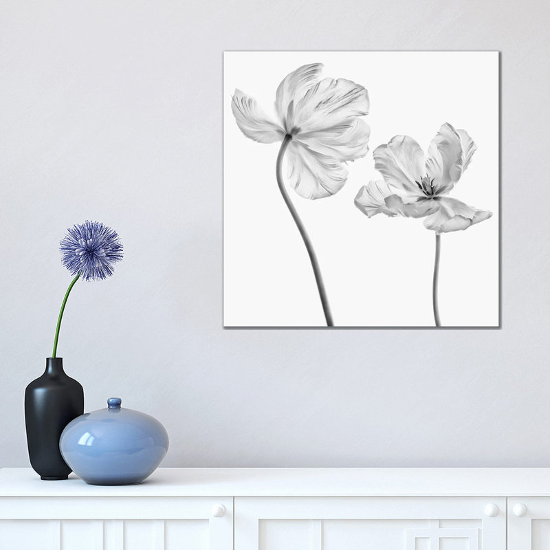 Same Tulip: Front and Backview 1 Piece Wrapped Canvas Wall Art, 45.72cm H x 45.72cm W x 1.9cm D
