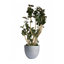 Pot à fleur Dorlis Fiberstone-881441044-809609163