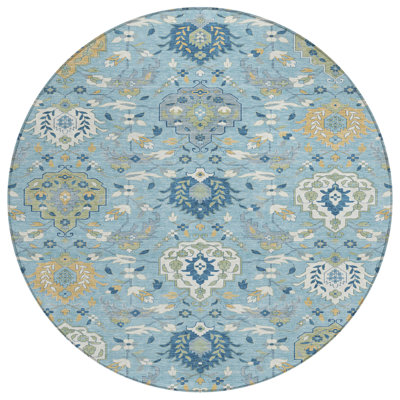  Machine Washable Indoor/Outdoor Chantille ACN1026 Rug