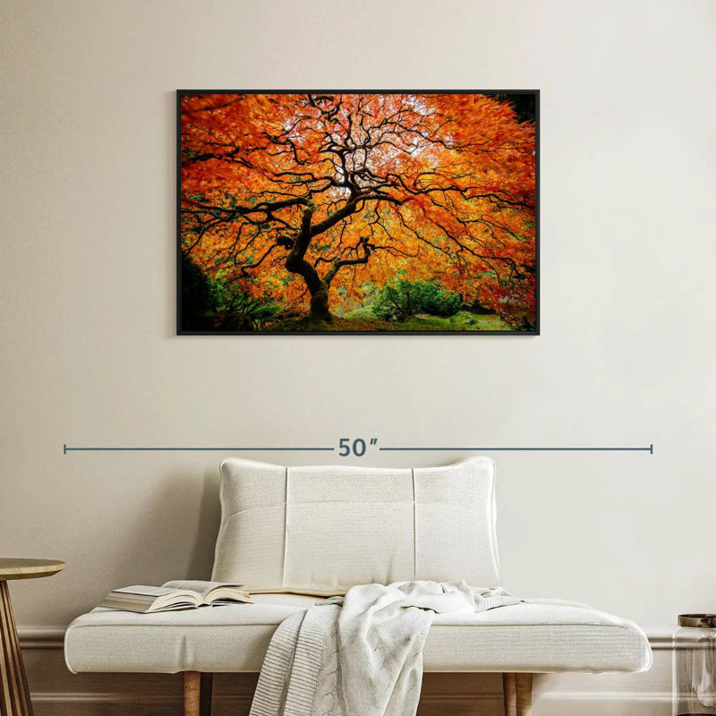 Automne érable japonais, Cadre flottant noir, 37 po x 25 po