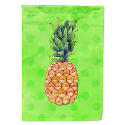 Cambron Double Sided 40'' H x 28'' W Polyester House Flag