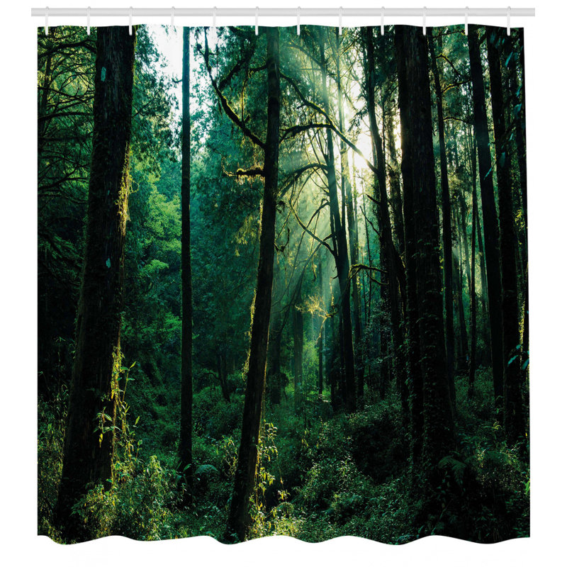 Ensemble de rideau de douche et crochets de la nature, H 69 po x l 105 po
