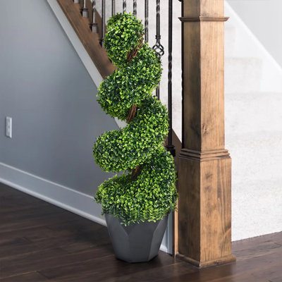 90cm Plant