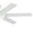 60 Inch Mint Ceiling Fan with Glass Diffuser-1990764679