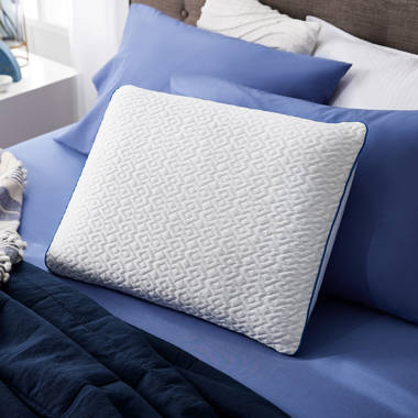 Sleep Innovations Forever Cool Gel Memory Foam Medium Cooling Pillow