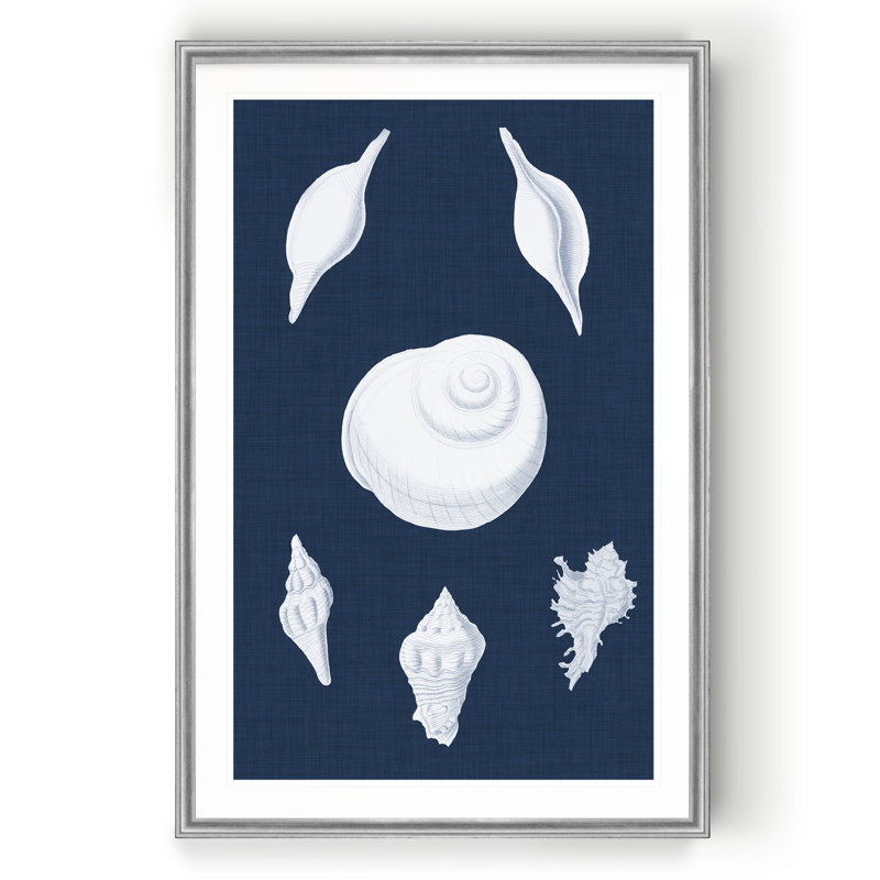 « coquillages blancs iv », impression sur toile, H 22,5 po x l 30,5 po x P 1,5 po, Argent