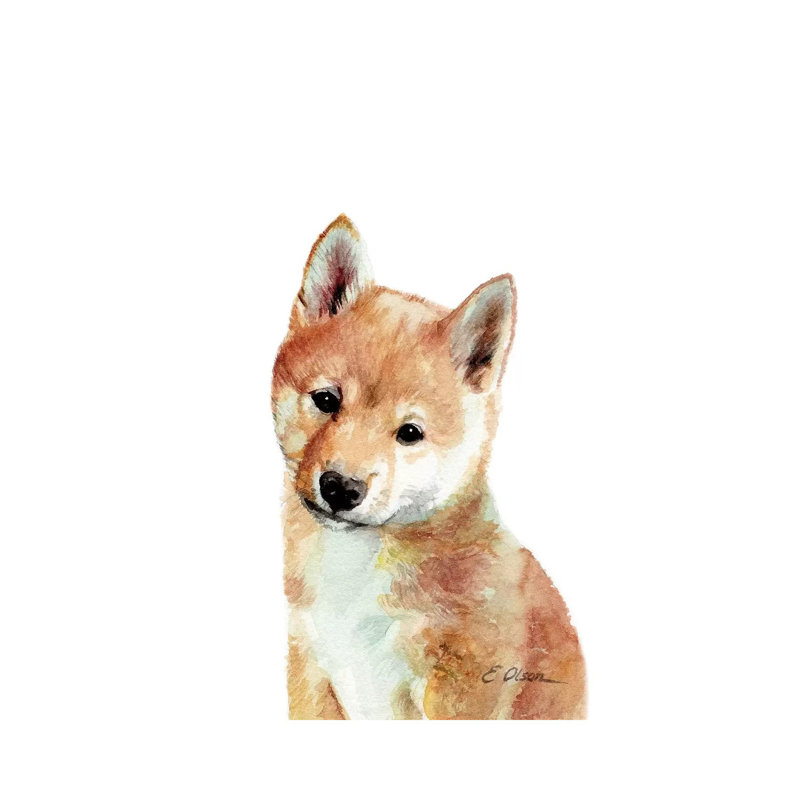 Shiba Inu Puppy - Wrapped Canvas Painting