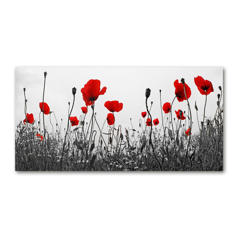 Maki - Wrapped Canvas Print